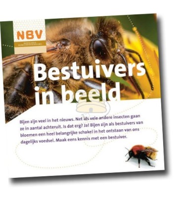 NBV Bestuivers in beeld (40 stuks)