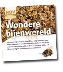 NBV folder Wondere bijenwereld (40 stuks)