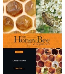 The Honey Bee Inside Out