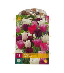 Tulp Pastel bloembollen mix 15 stuks