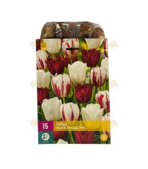 Tulp Dutch Design bloembollen mix 15 stuks