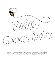 Aziatische hoornaar bescherming STOP IT MAX® 