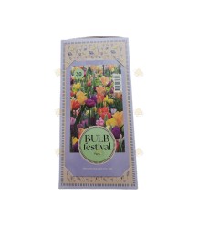 Doos 30 stuks Bulb festival party mix (bloembollen)