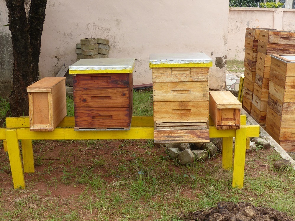 Bijenkasten in Ghana