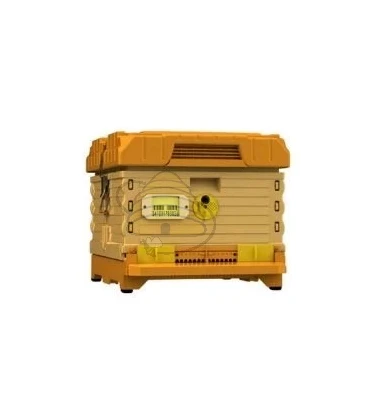 Apimaye Ergo bijenkast Deep Brood Box Langstroth (zonder ramen)