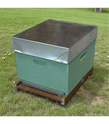 Dadant Blatt bijenkast (1BK) - zeegroen geverfd