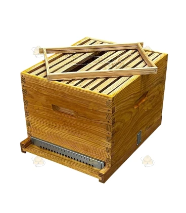 Dadant Blatt bijenkast (1BK) - geïmpregneerd