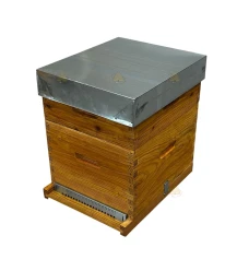 Dadant Blatt bijenkast (1BK, 1HK) - geïmpregneerd