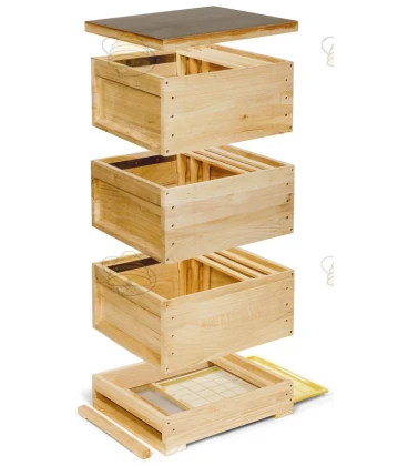 Bijenkast Duits Normaal hout - hoge bodem