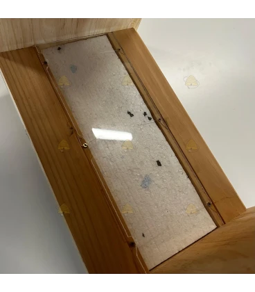 Tweedekans: Warré broedkamer met kijkvenster