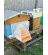 Aziatische hoornaar bijenkast beschermkooi inclusief val