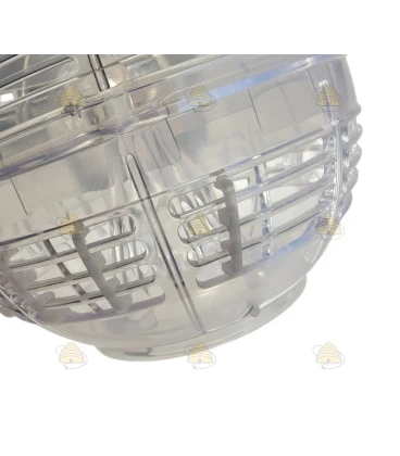 Extra vlinder beveiliging voor bol van Aziatische hoornaarval Deluxe