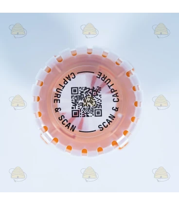 Selectieve Aziatische hoornaarval met diffusietechnologie