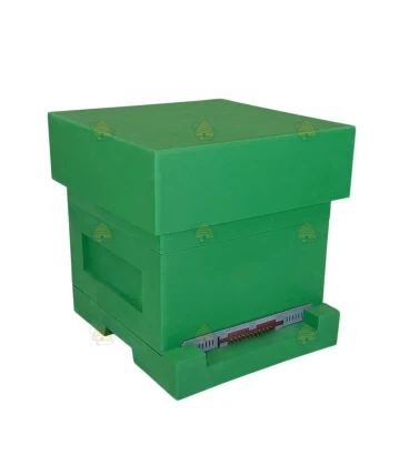 PRE ORDER - Spaarkast groen gelakt polystyreen (1bk, 1hk) BeeFun®