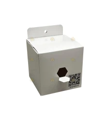 Ahembriox - Aziatische hoornaar - koninginnen val