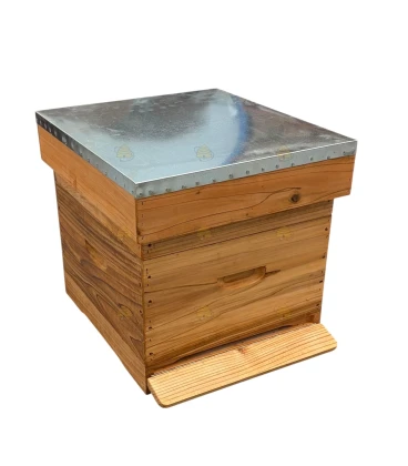 Spaarkast cryptomeria - geïmpregneerd