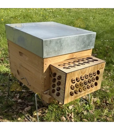 Aziatische hoornaar bescherming ARTHAK®
