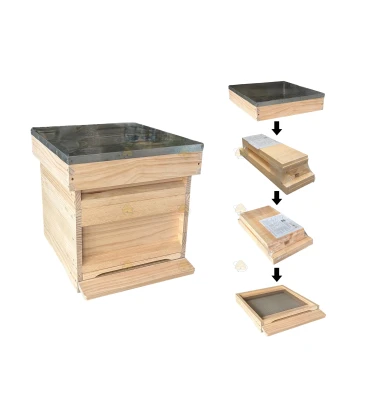 Pre-Sale: Spaarkast bijenkast Easy Grip  grenen (1bk, 1hk) Budget - Bouwpakket