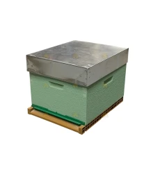 Dadant Blatt bijenkast (1BK) - mintgroen geverfd & Nicot bodem