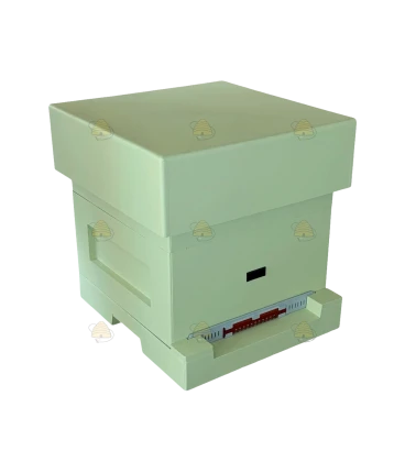 Spaarkast pastel groen gelakt polystyreen (1bk, 1hk) BeeFun®