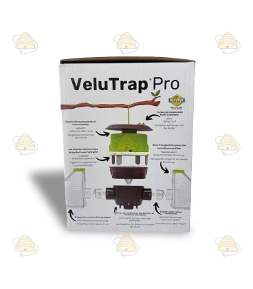 Aziatische Hoornaarval Velutina Trap hangend/staand