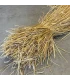 Roggestro bundel lang - 3 kg [AFHALEN IN THOLEN]