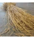 Roggestro bundel lang - 3 kg [AFHALEN IN THOLEN]