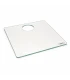 Spaarkast glazen dekplank met voergat 47,3 x 42,1 cm en bijenuitlaat RVS