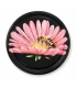 Bij op roze margriet, 63 mm TO deksel, 60 stuks