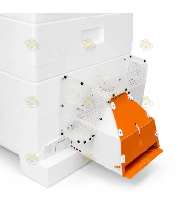 Aziatische hoornaar bijenkast beschermkooi inclusief val - Good4Bees