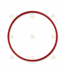 O-ring Ø 65 mm (2 mm dik)