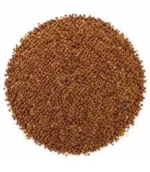 Gemalen notenschelp voor zeep & cosmetica - 10 gram