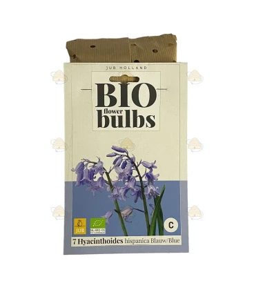 Hyacinten Spaans blauw 7 stuks (bloembollen, bio) Hyacinten Spaans blauw 7 stuks (bloembollen, bio)