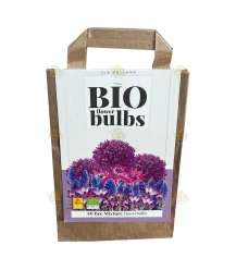 Cadeautas bio bloembollen 40 stuks